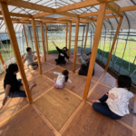 ヨガ・ピラティスワークショップ